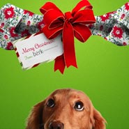 No. 035 - Merry Christmas